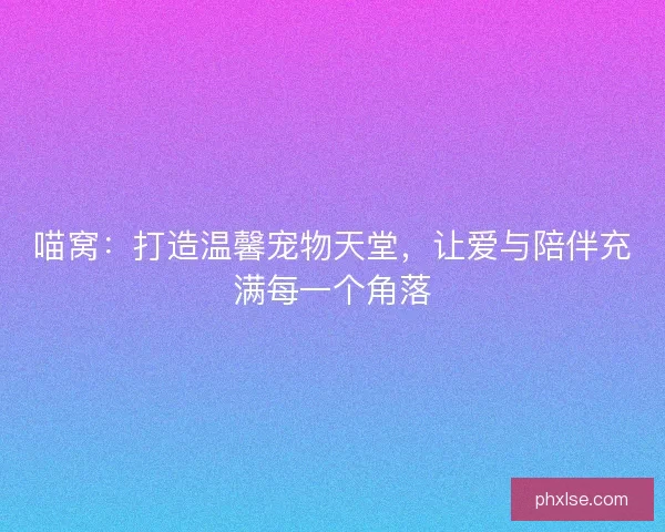 喵窝：打造温馨宠物天堂，让爱与陪伴充满每一个角落